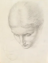 Study of a Woman. c.1868-71